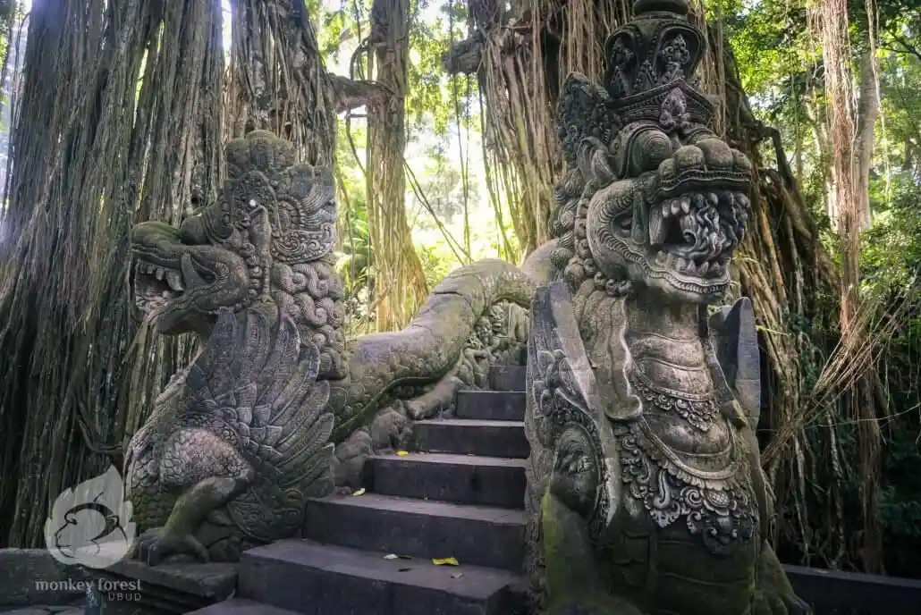 Monkey Forest