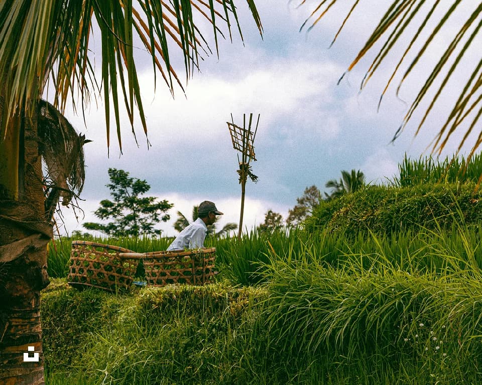 10 Hidden Gems in Bali You Need to Visit Before They Get Crowded